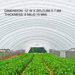 Greenhouse Film 12 x 25 ft Greenhouse Polyethylene Film 6Mil/0.15 mm Thickness Greenhouse Clear Plastic Film UV Resistant