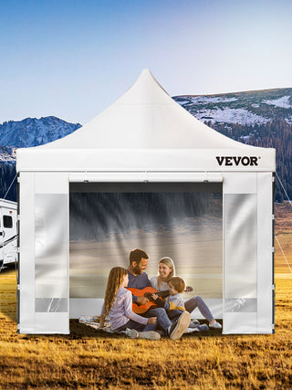 10x10 Pop Up Canopy Tent Outdoor Ten with Removable Sidewalls and Wheeled Bag Instant Portable Shelter for Parties Camping